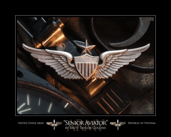 Senior Aviator Wings-Vietnam Print