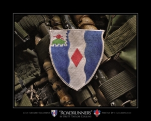 61st Infantry Division- "ROADRUNNER"-5th MECH-Combat