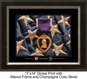 thumb_764_theNAM-11x14.jpg