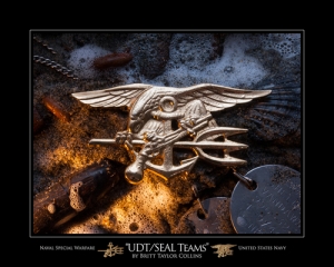 UDT/Seal Teams - Trident Badge