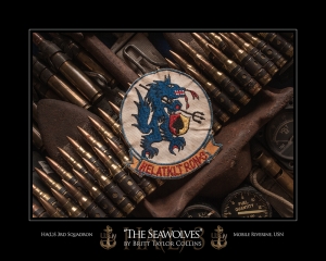 Seawolves-HA(L)S 3rd Squadron-Navy Aviation